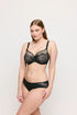 PrimaDonna Madison Rio Briefs